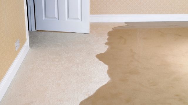 how-to-repair-flood-damage-in-daytona-beach-florida